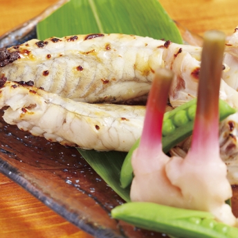 フグ切り込み漬け焼き