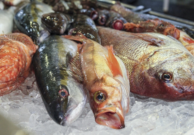 藤本鮮魚店店内